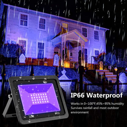 UV LED Curing Flood Light