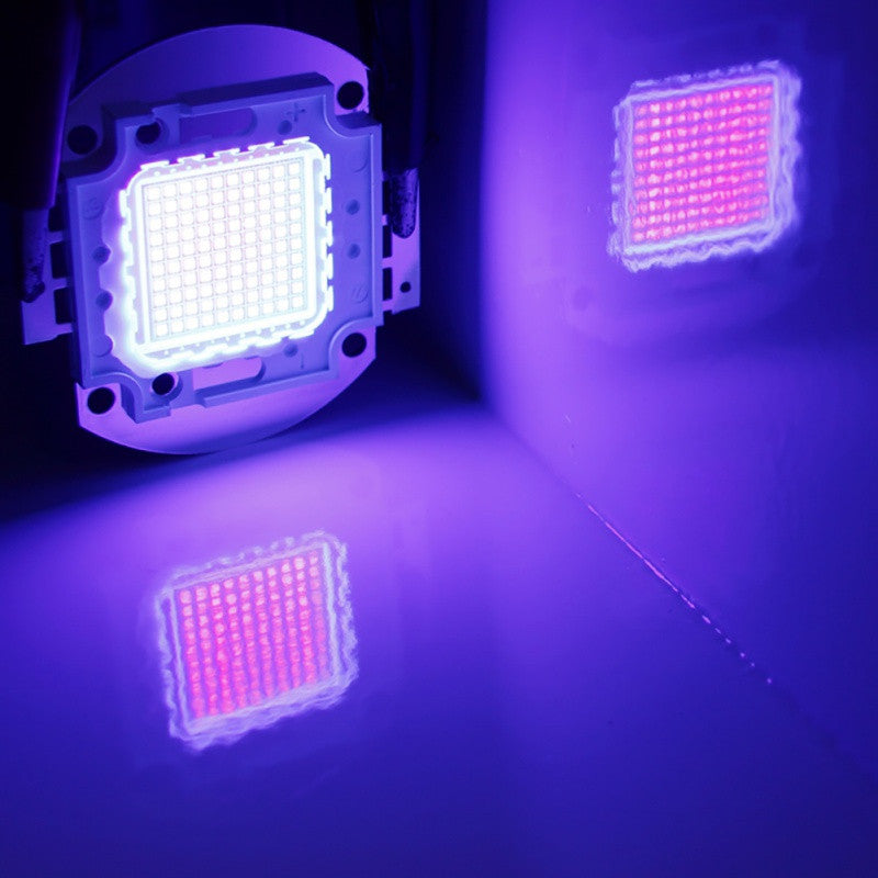 Violet/Purple LED Ultraviolet Light Light Emitter with light beads