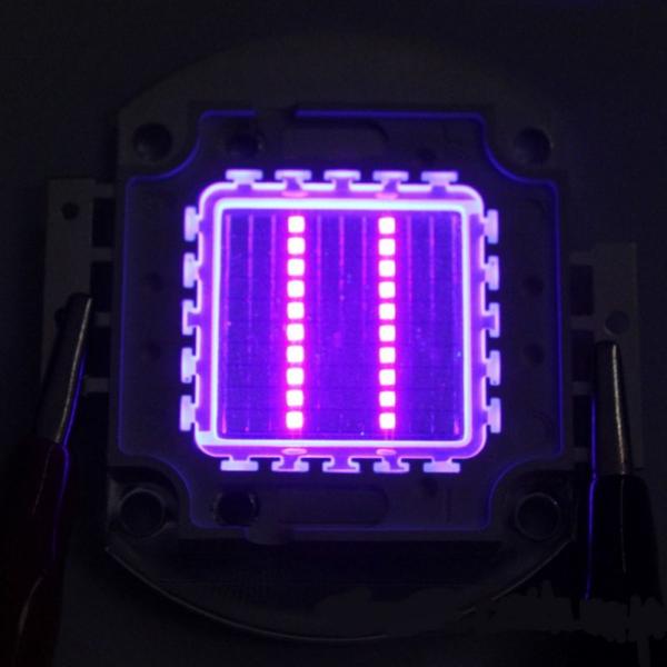 Violet/Purple LED Ultraviolet Light Light Emitter with light beads