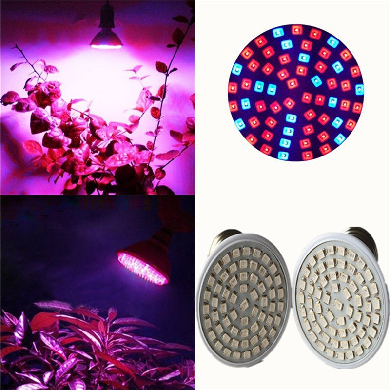 Round led grow lights sales