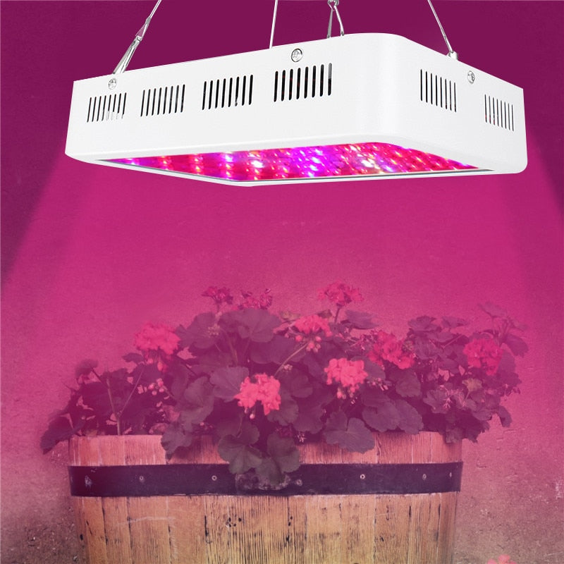 1000W Full Spectrum LED Grow Light for indoor greenhouse & hydroponic plants